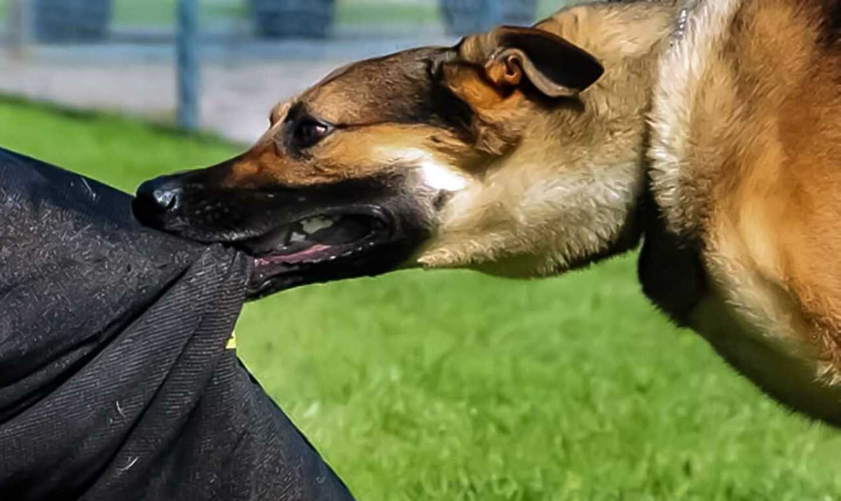 фото из сети