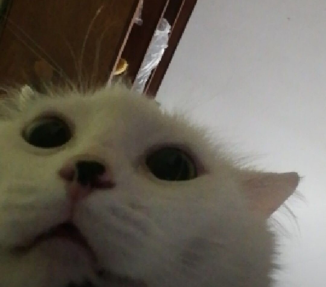 -1-2