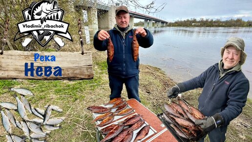 Река Нева. Рыбалка с берега и копчение рыбы. Ленинградская область.