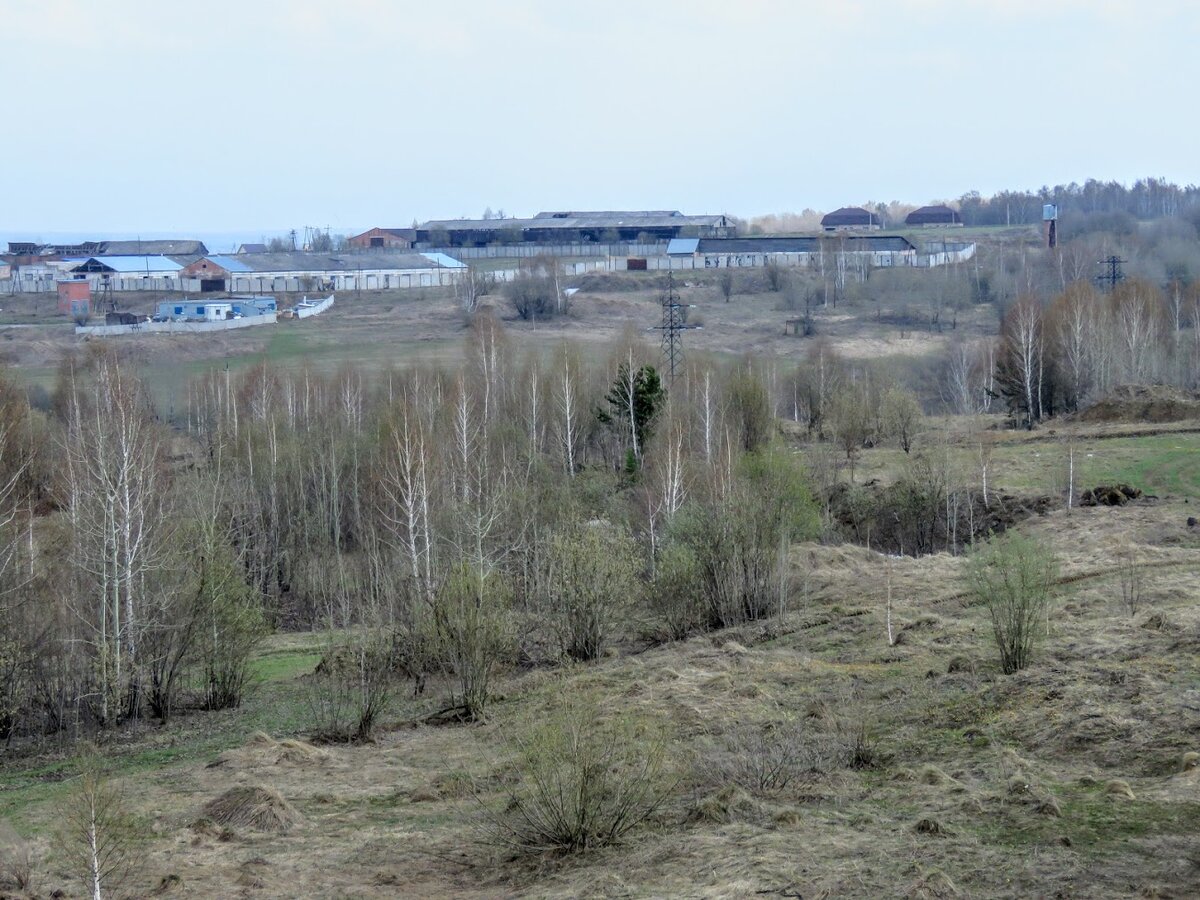 Деревня Андреевка, пруд Лесовик, таёжные красота и жр. Лесная поляна.  Маришка и я - ч 2 | Екатерина про Кемерово | Дзен