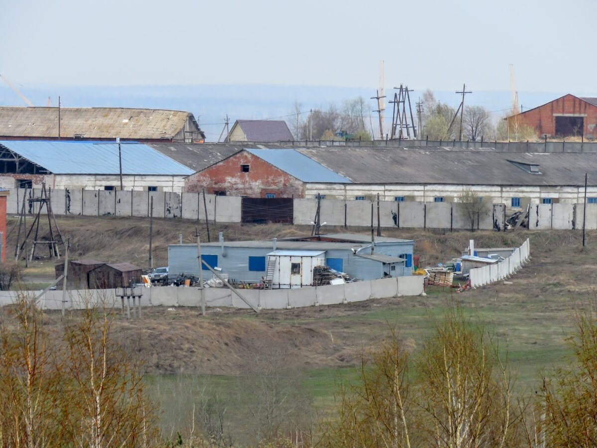 Деревня Андреевка, пруд Лесовик, таёжные красота и жр. Лесная поляна.  Маришка и я - ч 2 | Екатерина про Кемерово | Дзен