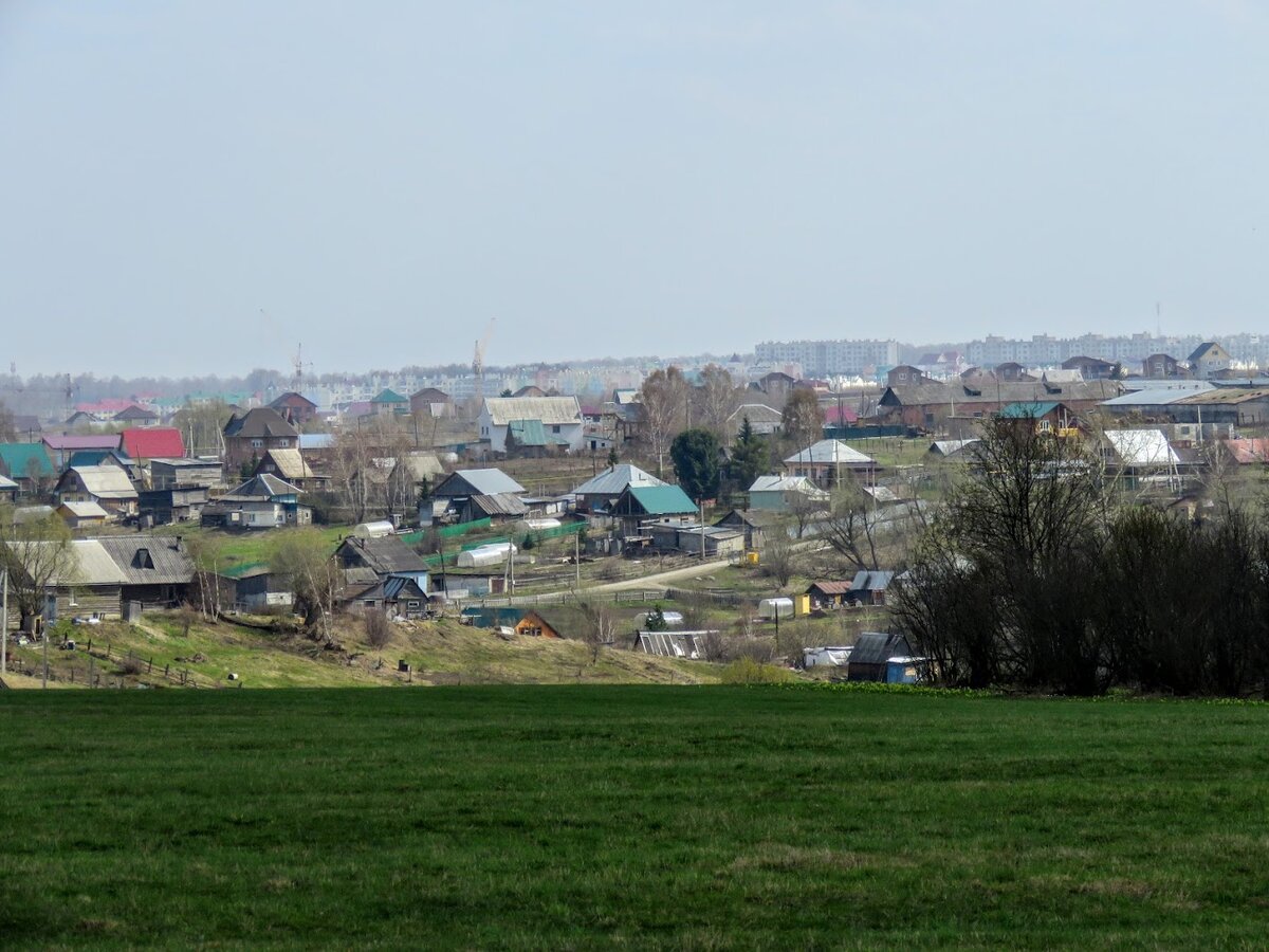 Деревня Андреевка, пруд Лесовик, таёжные красота и жр. Лесная поляна.  Маришка и я - ч 2 | Екатерина про Кемерово | Дзен