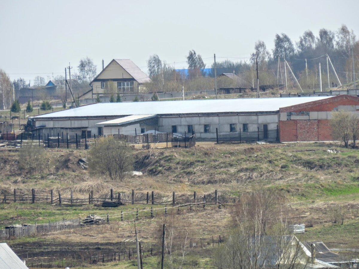 Деревня Андреевка, пруд Лесовик, таёжные красота и жр. Лесная поляна.  Маришка и я - ч 2 | Екатерина про Кемерово | Дзен