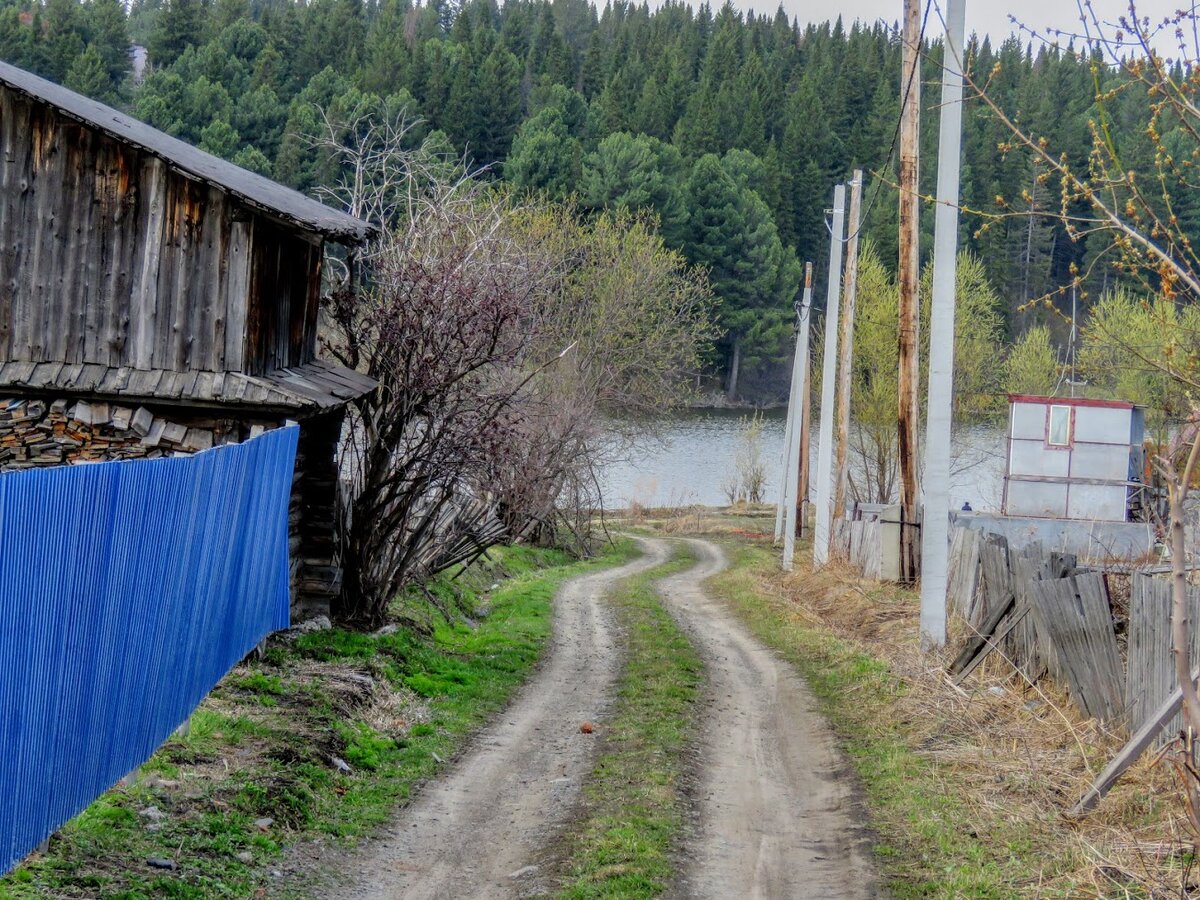 Деревня Андреевка, пруд Лесовик, таёжные красота и жр. Лесная поляна.  Маришка и я - ч 2 | Екатерина про Кемерово | Дзен