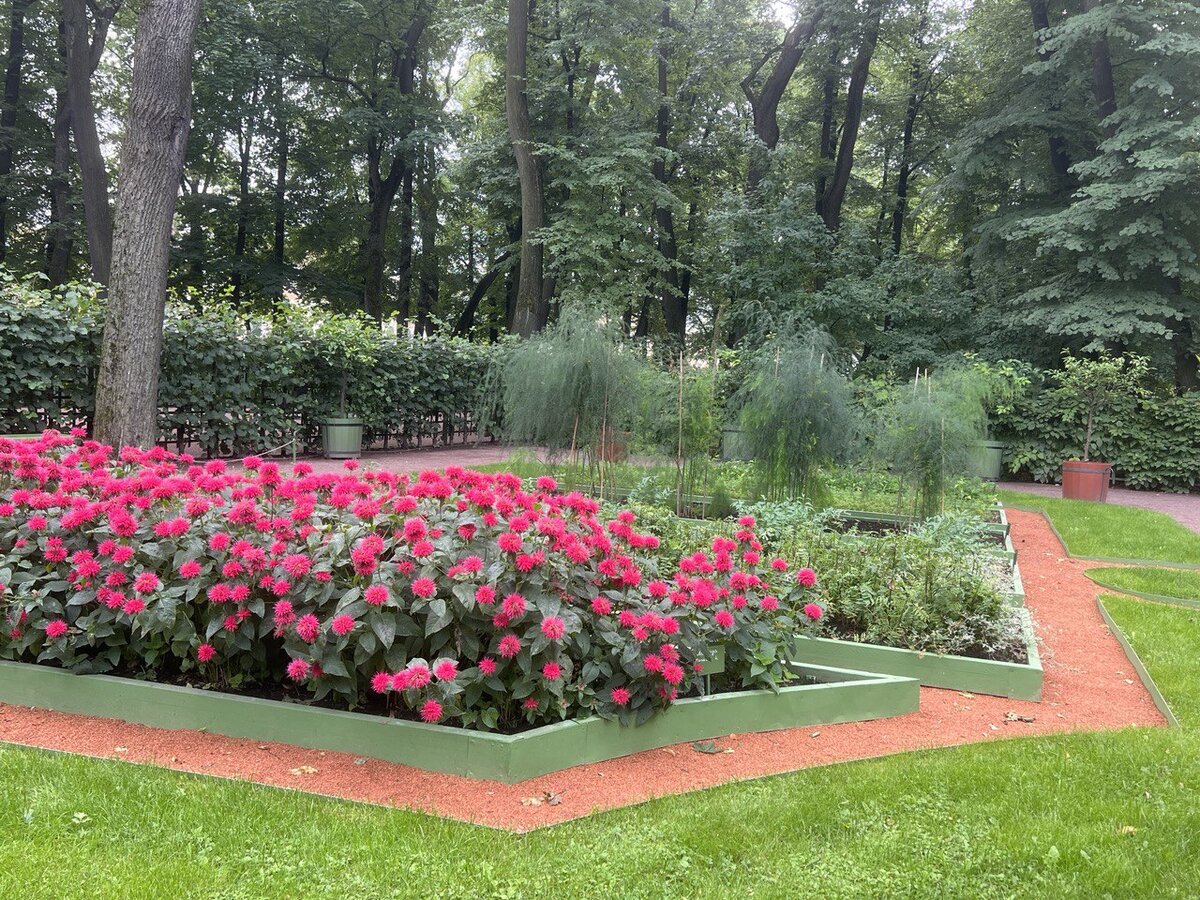 Аптекарский огород Петра в Санкт-Петербурге