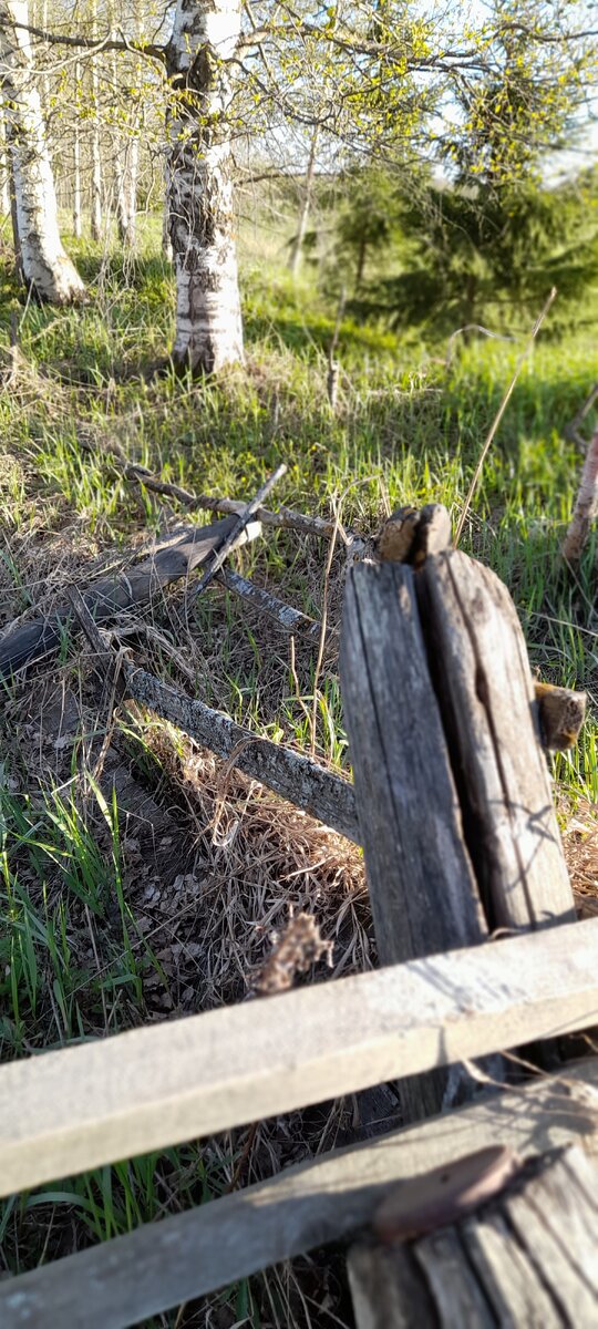 А у нас самая настоящая весна!