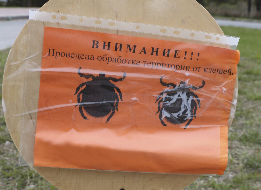    От нападения клещей пострадали 117 югорчан