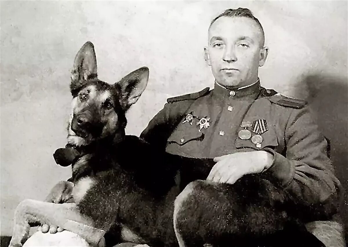 ЯНДЕКС картинки.