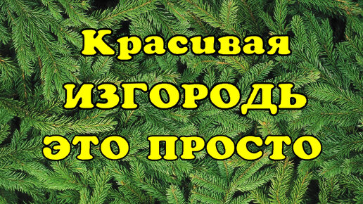 Ровная живая изгородь за 10 минут!