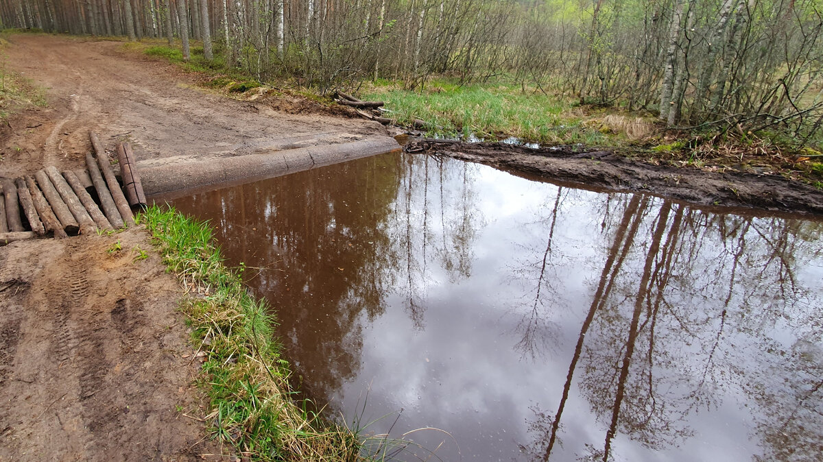 Она же, с другой стороны