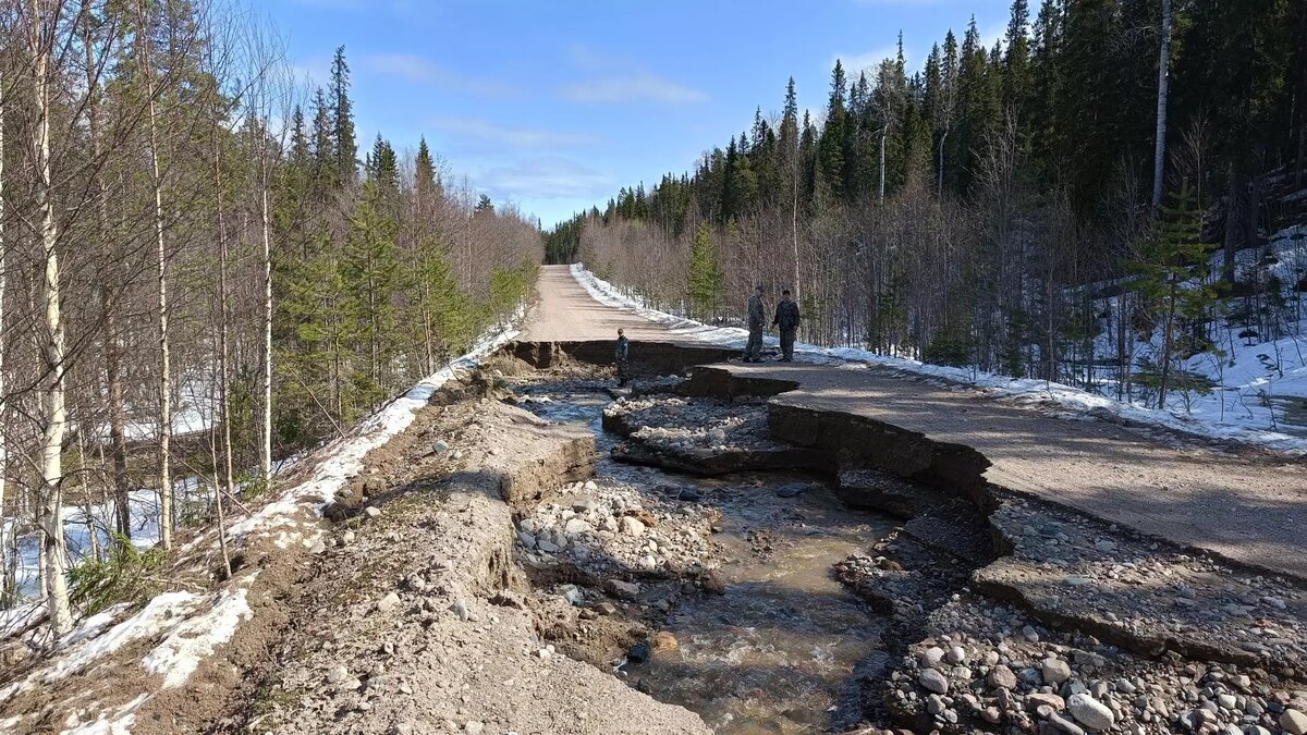    Источник: ГКУ РК «Лоухское Центральное Лесничество» / vk