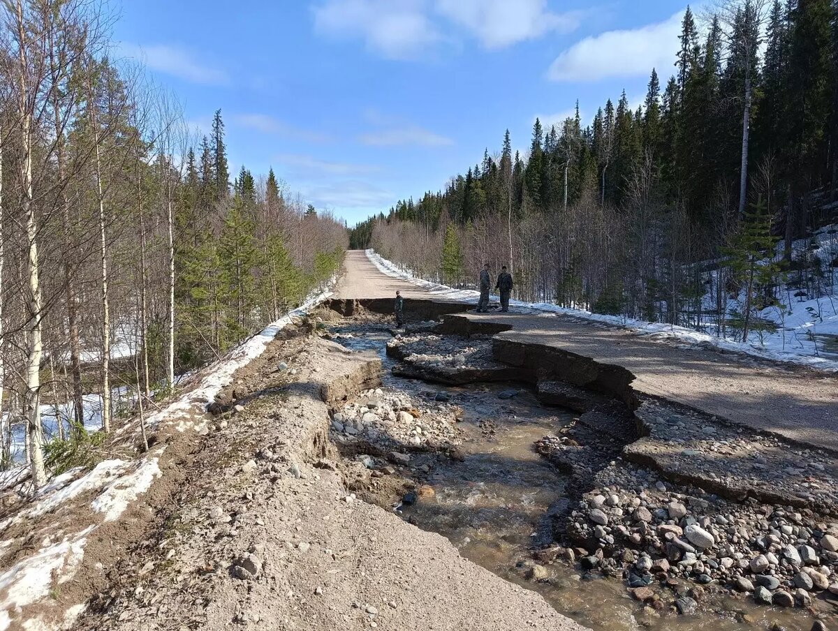     Источник: ГКУ РК «Лоухское Центральное Лесничество» / vk