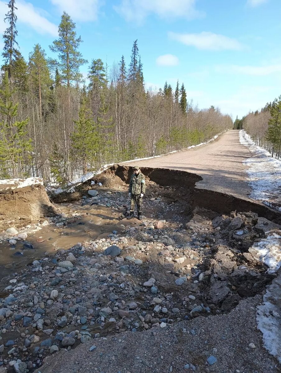     Источник: ГКУ РК "Лоухское Центральное Лесничество" / vk