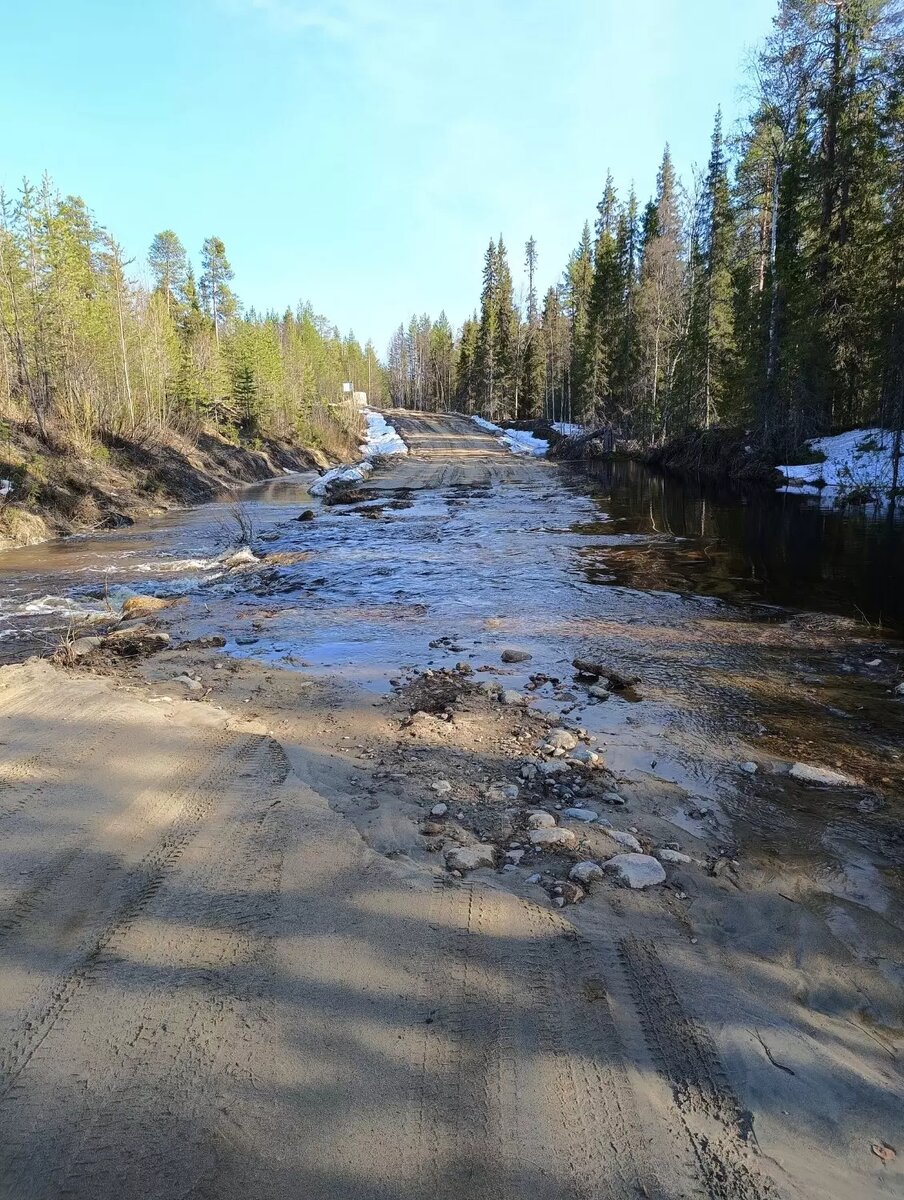     Источник: ГКУ РК "Лоухское Центральное Лесничество" / vk