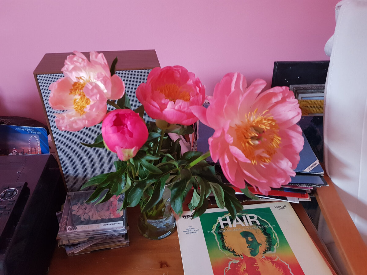 Цветы в первый день