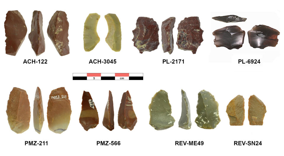   Niccolo Mazzucco et al. / Journal of Archaeological Science: Reports, 2024