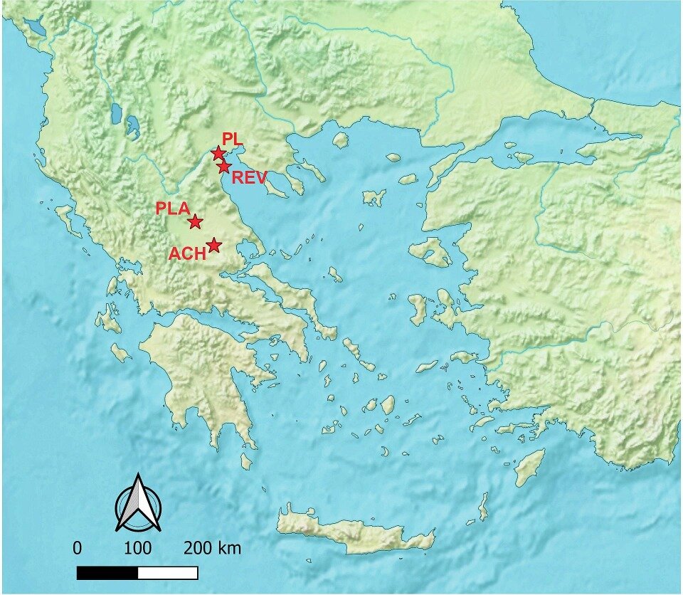  Niccolo Mazzucco et al. / Journal of Archaeological Science: Reports, 2024