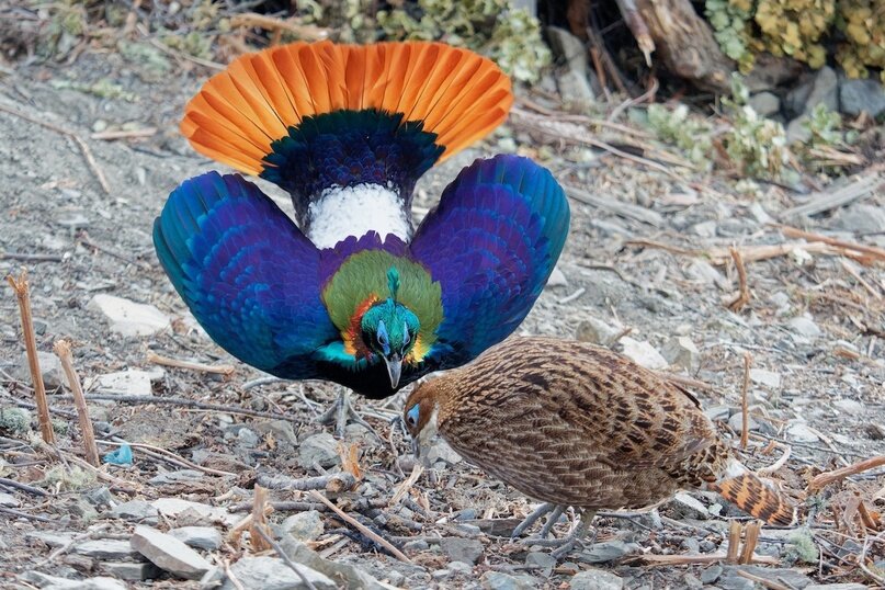 Фото из интернета