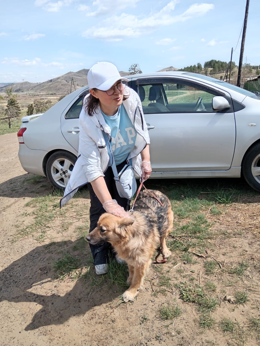 Еще один наш хвостик стал домашним! Пожелаем счастья и добра новой семье!