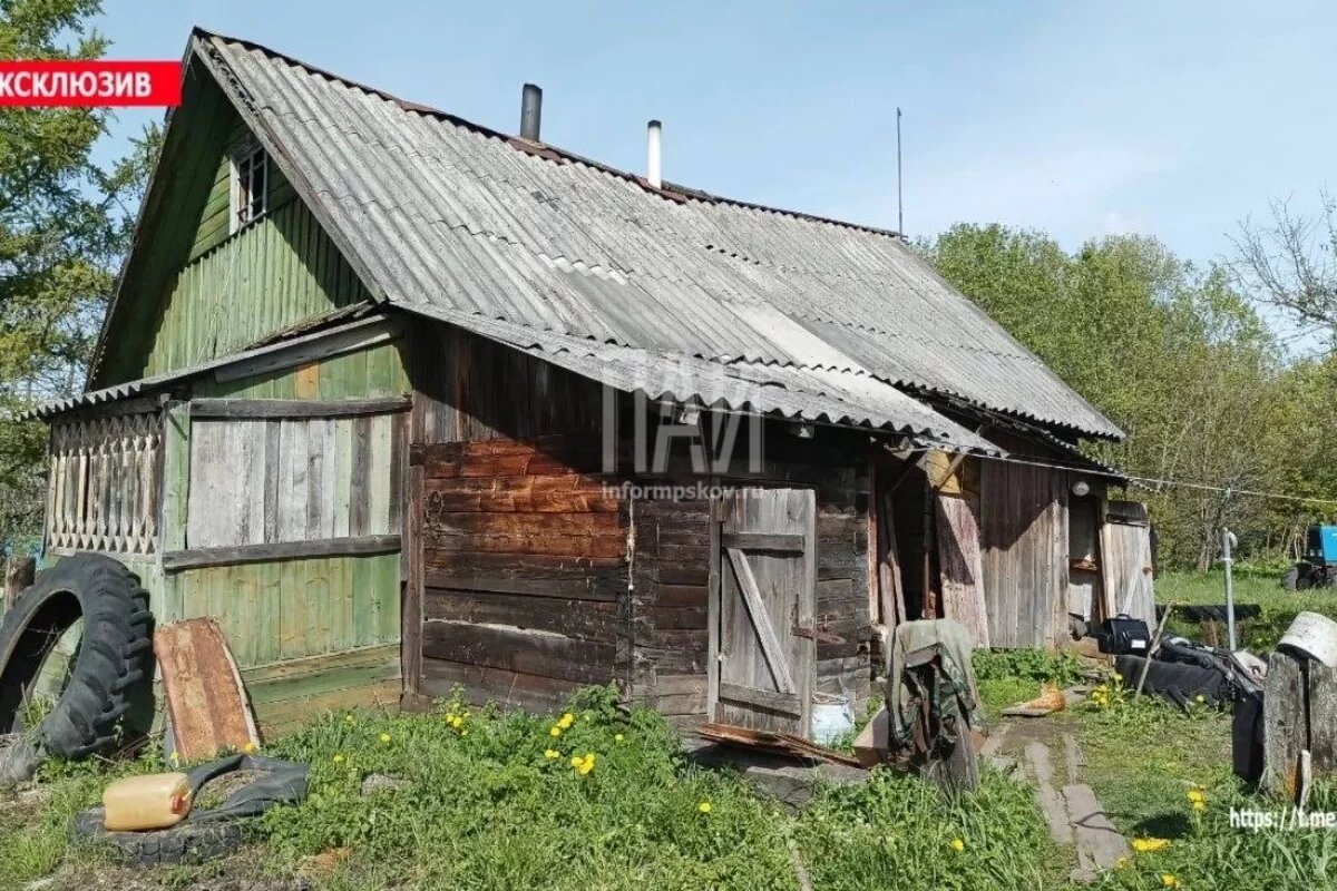    Псковичку, зарезавшую сожителя и знакомую, заключили под стражу