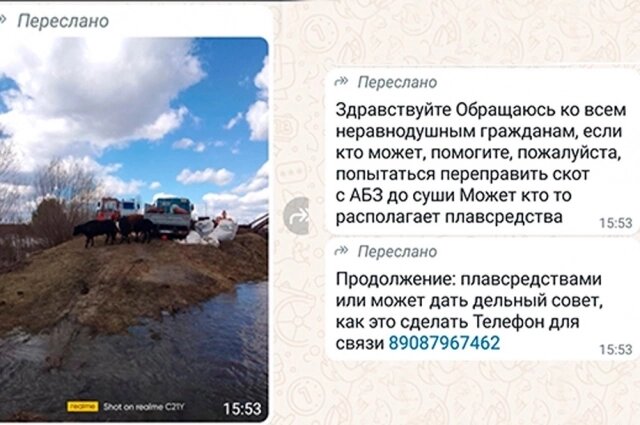    Пост Галины Николаевны. Фото: Группа ВК Усть-Ишимский район