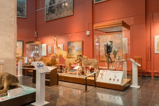    Фото: Александр Вдовенко