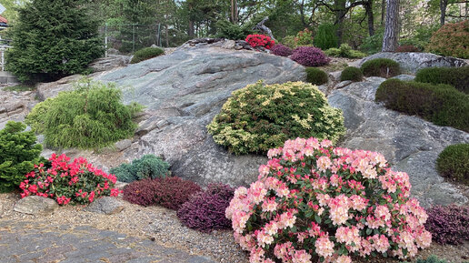 Прогулка по «Саду в стране троллей» в День Коституции Норвегии