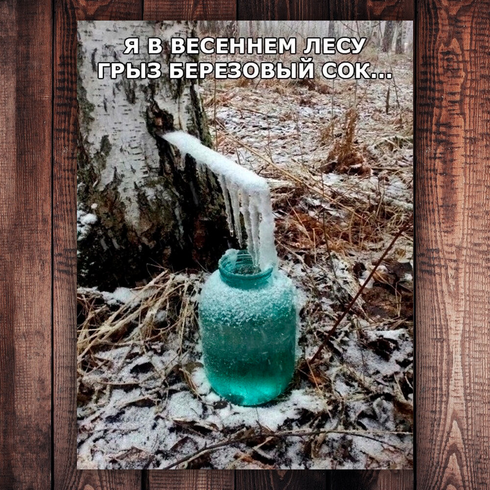 Фото с просторов интернета