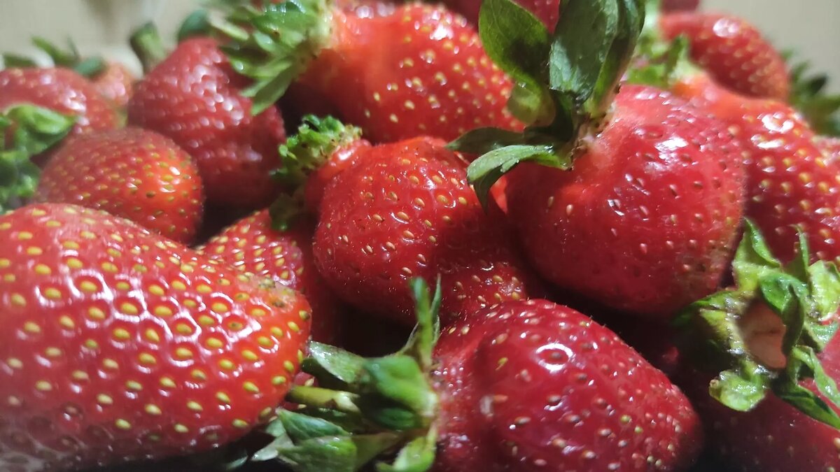     Источник: rostovgazeta.ru