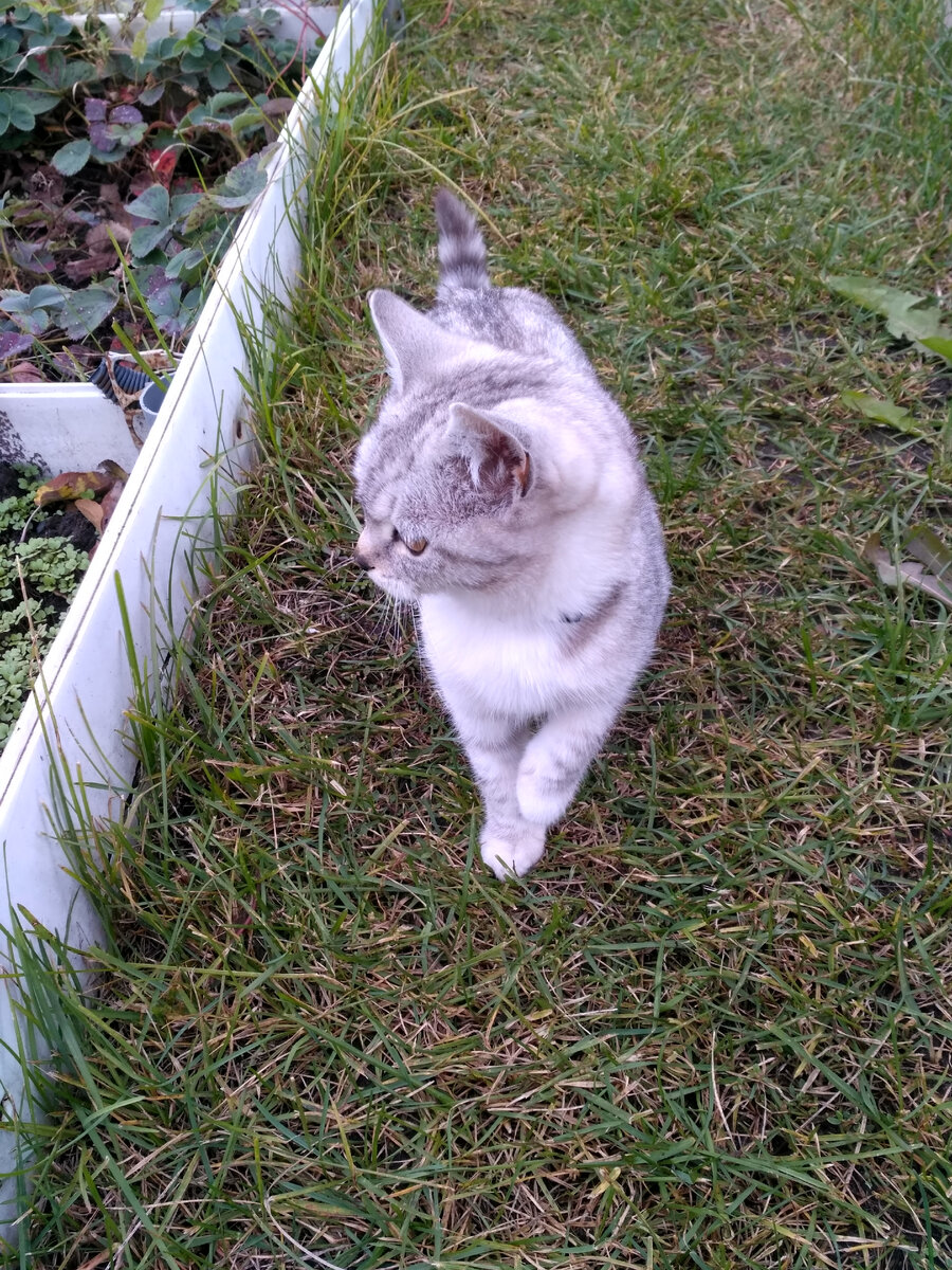 "Понаехавшие"