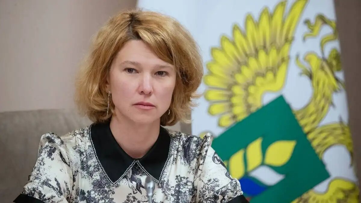  Фото:пресс-служба Минсельхоза РФ
В Минсельхозе предварительно оценили площадь посевов, погибших от майских заморозков