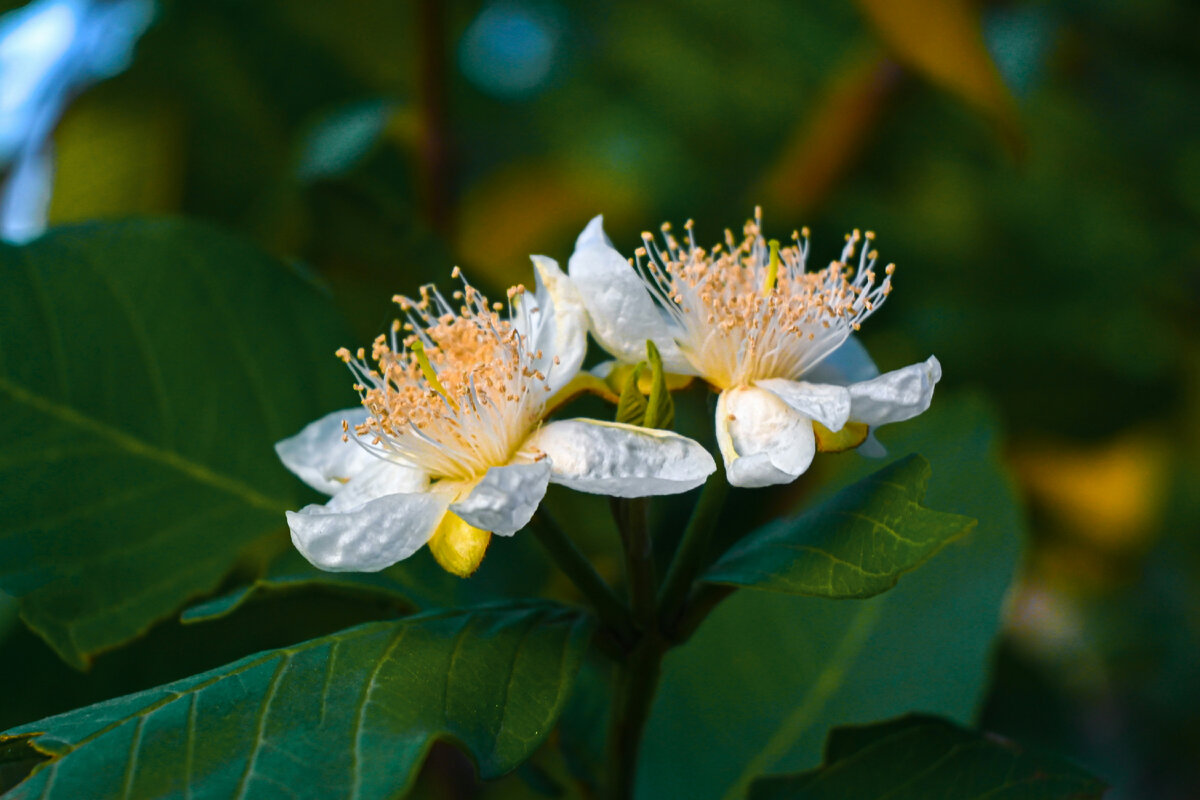 Картинка с бесплатного фотостока https://unsplash.com, автор Jamshaid Mughal