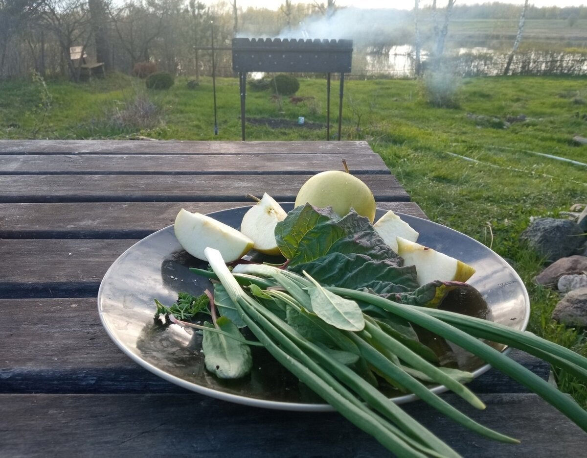 Первая зелень в апреле.