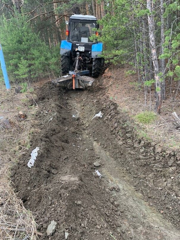 Фото: «Служба экологической безопасности» 