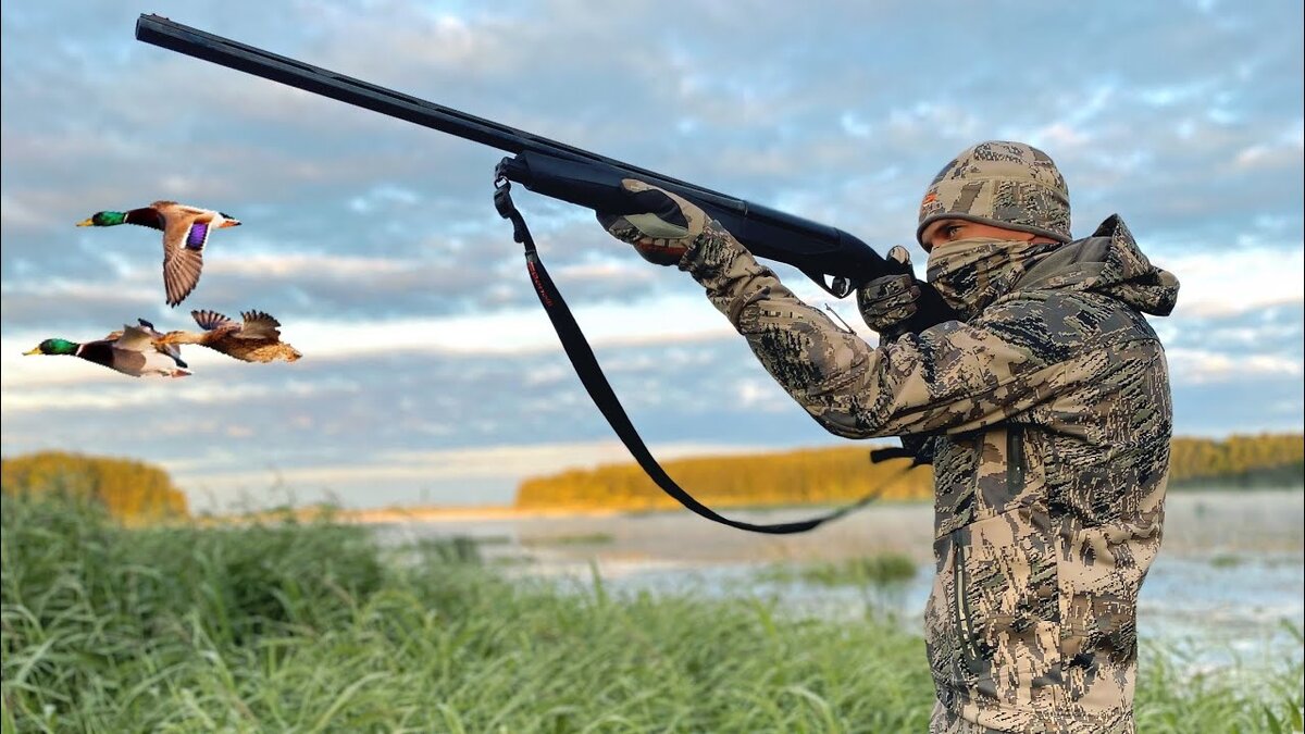 Хотите охотиться на уток? Не забудьть получить охотничий билет!