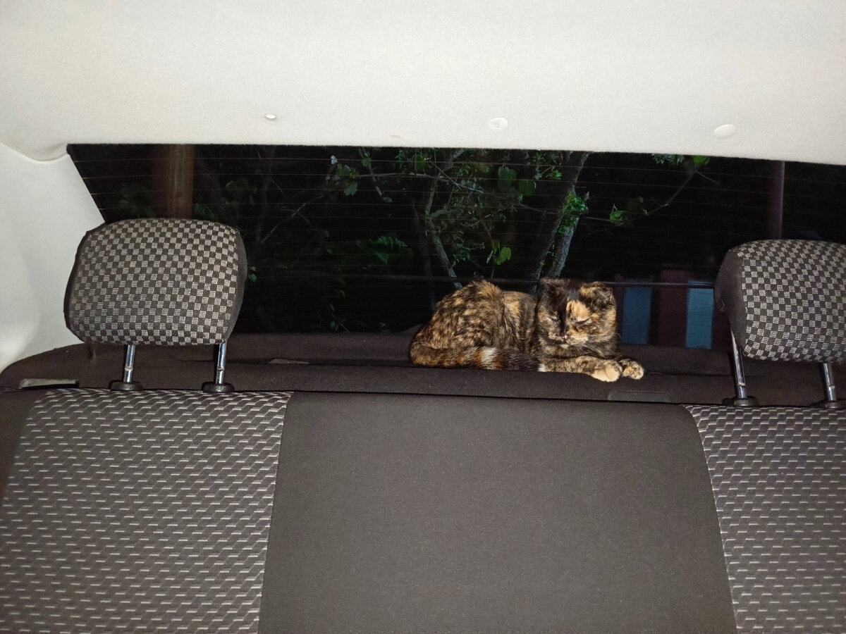 Не я один наблюдал за процессом прошивки😄