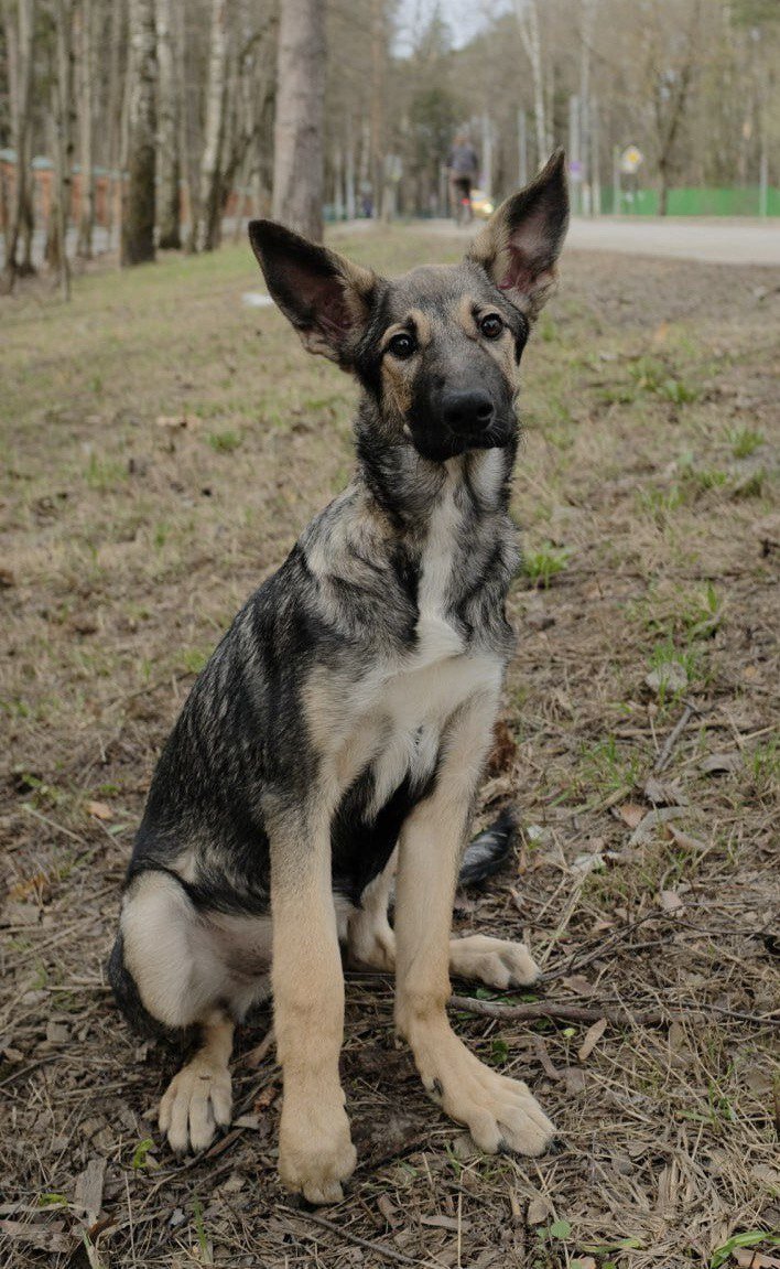 Вот такую меня и встретили