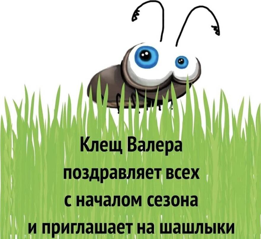     Изображение с сайта Fishki.net