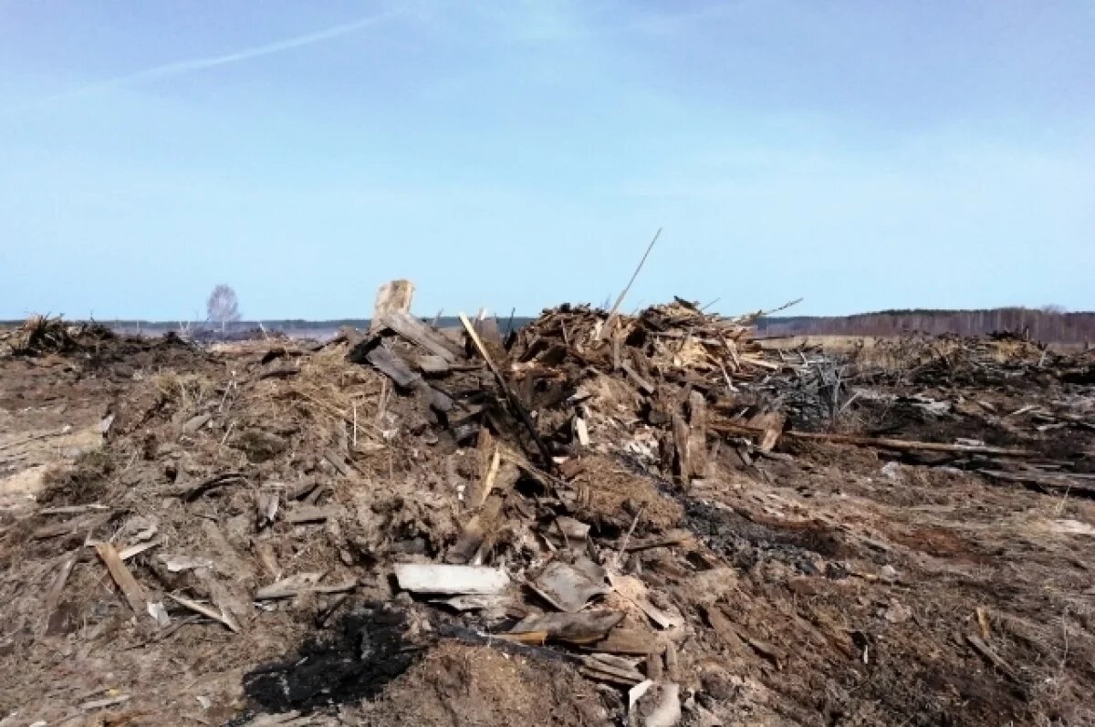    Свалка площадью более 2 тыс кв.м. обнаружена в Воротынском районе