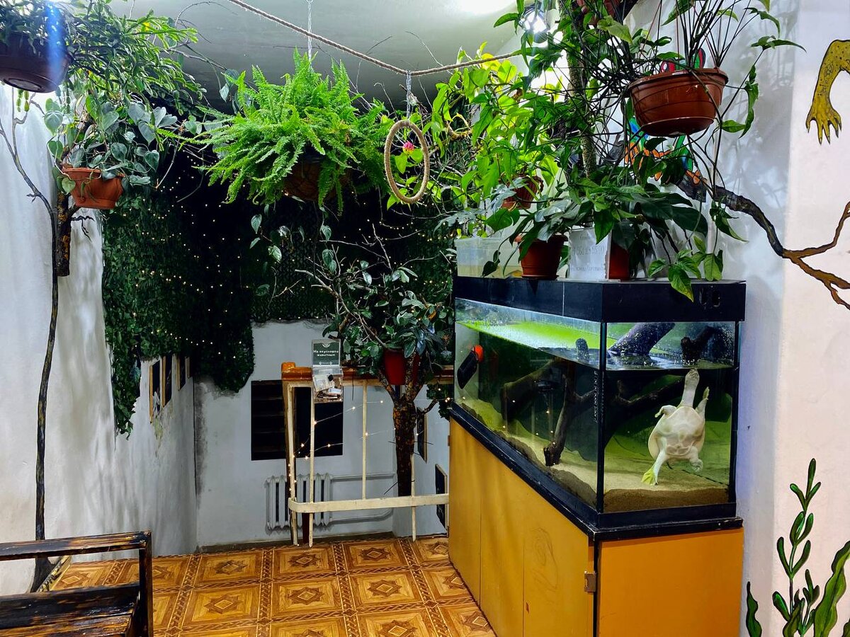 Владимирский экзотариум