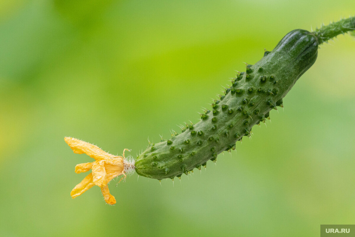 Фото: Илья Московец