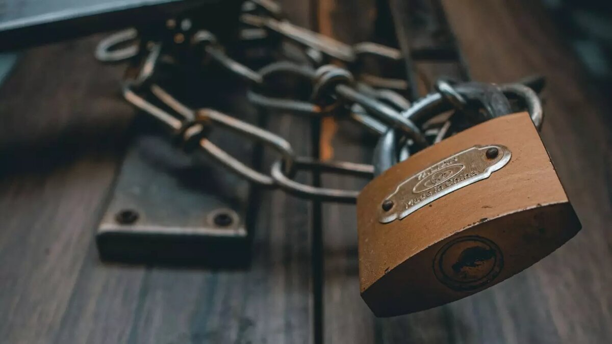     Автор: Unsplash