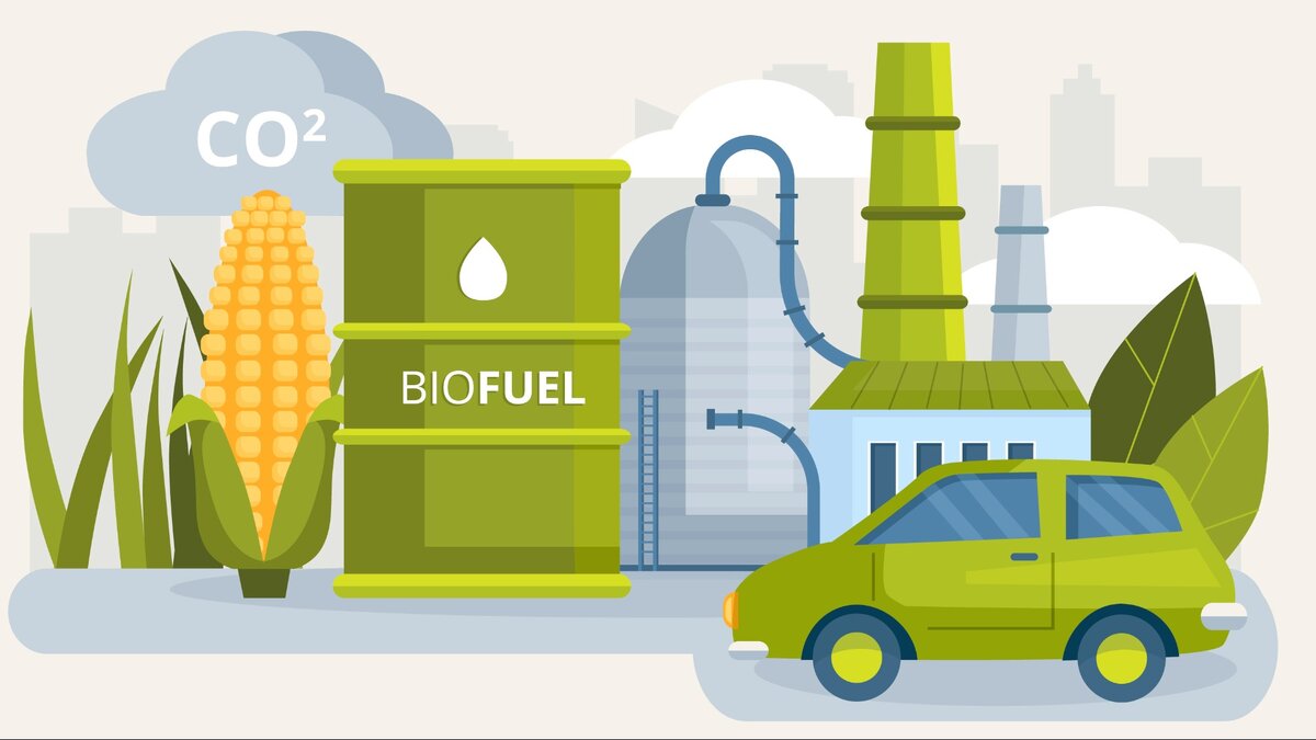 ОЧИСТИТЕЛИ биотоплива - инвестиция, КОТОРАЯ 100% ОКУПИТСЯ | СКГАЗ | Дзен