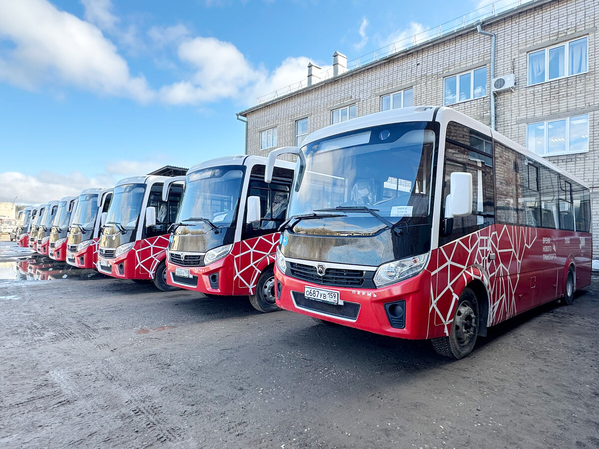 Новые автобусы хороши, как на подбор