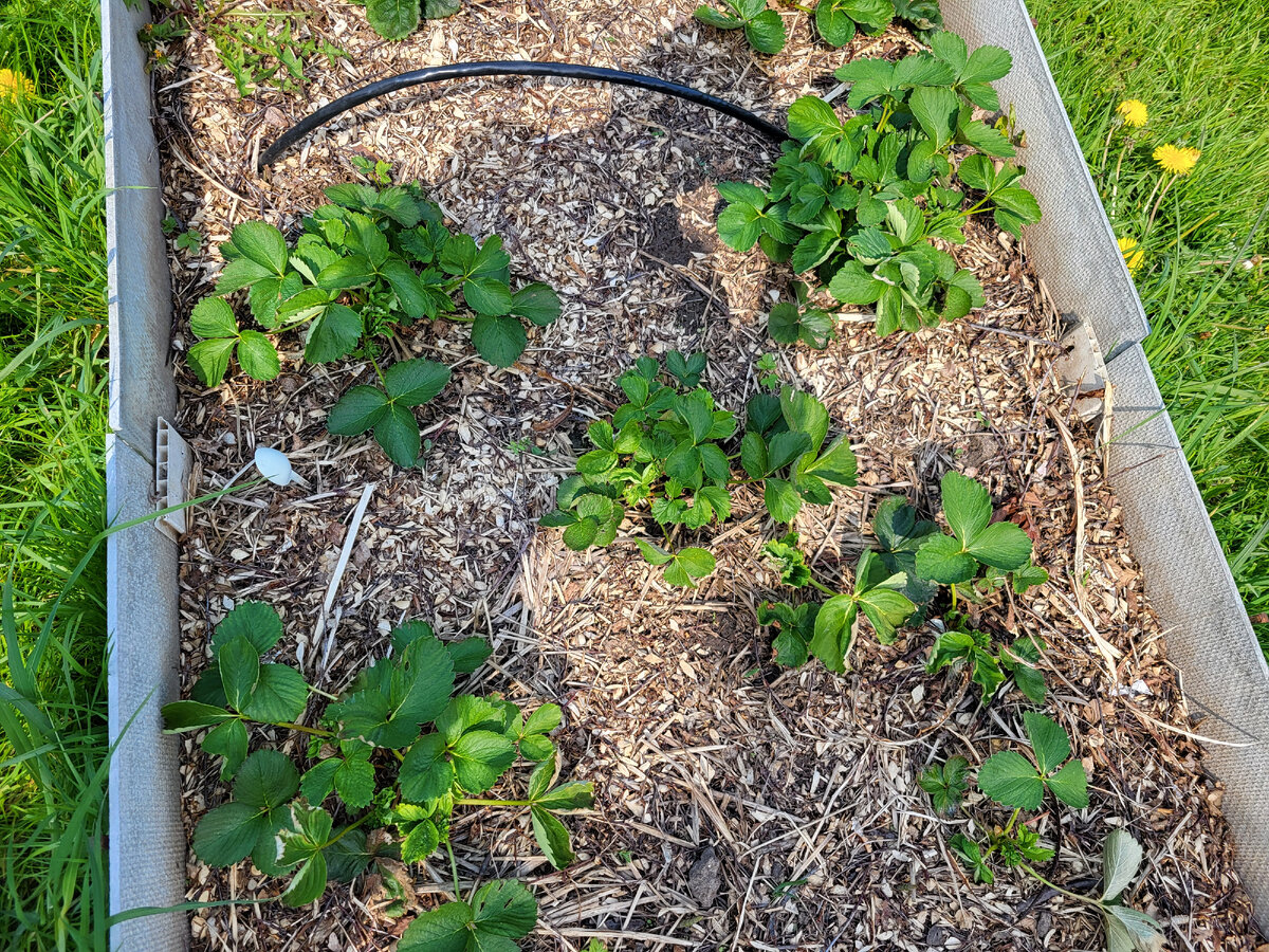 В статье использованы фото автора