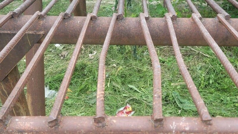      Фото: ПАСС СК