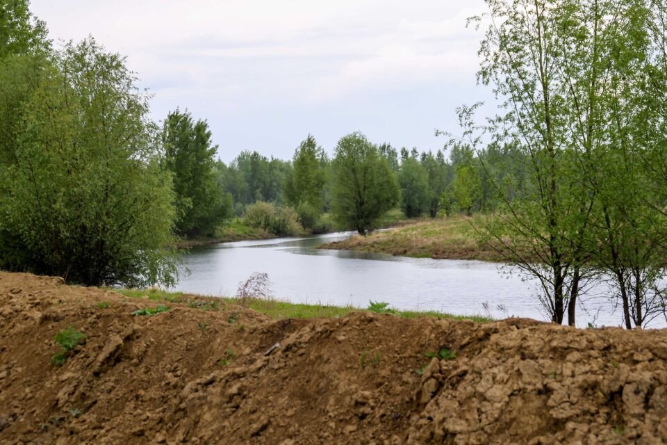    Микрорайон Затон. Барнаул . Источник: Виталий Барабаш/"Толк"