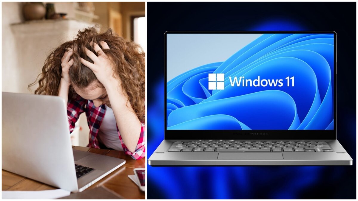 Windows 11: обновился – пожалел! 20 причин остаться на Windows 10 |  Программы для пк скачать бесплатно - Boxprograms.info | Дзен