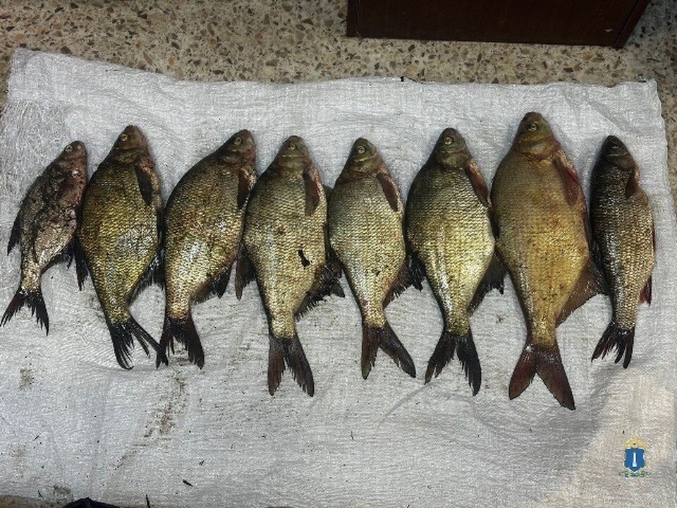    В рабочем поселке Ишеевка задержали водителя «ВАЗ» с незаконным уловом. ФОТО: УМВД УО