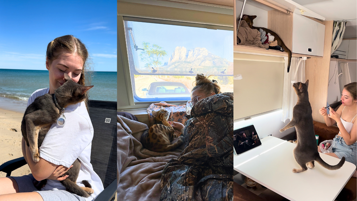 Мои пушистые путешественники и я.